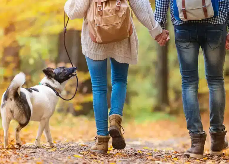 walk without pain walk without pain