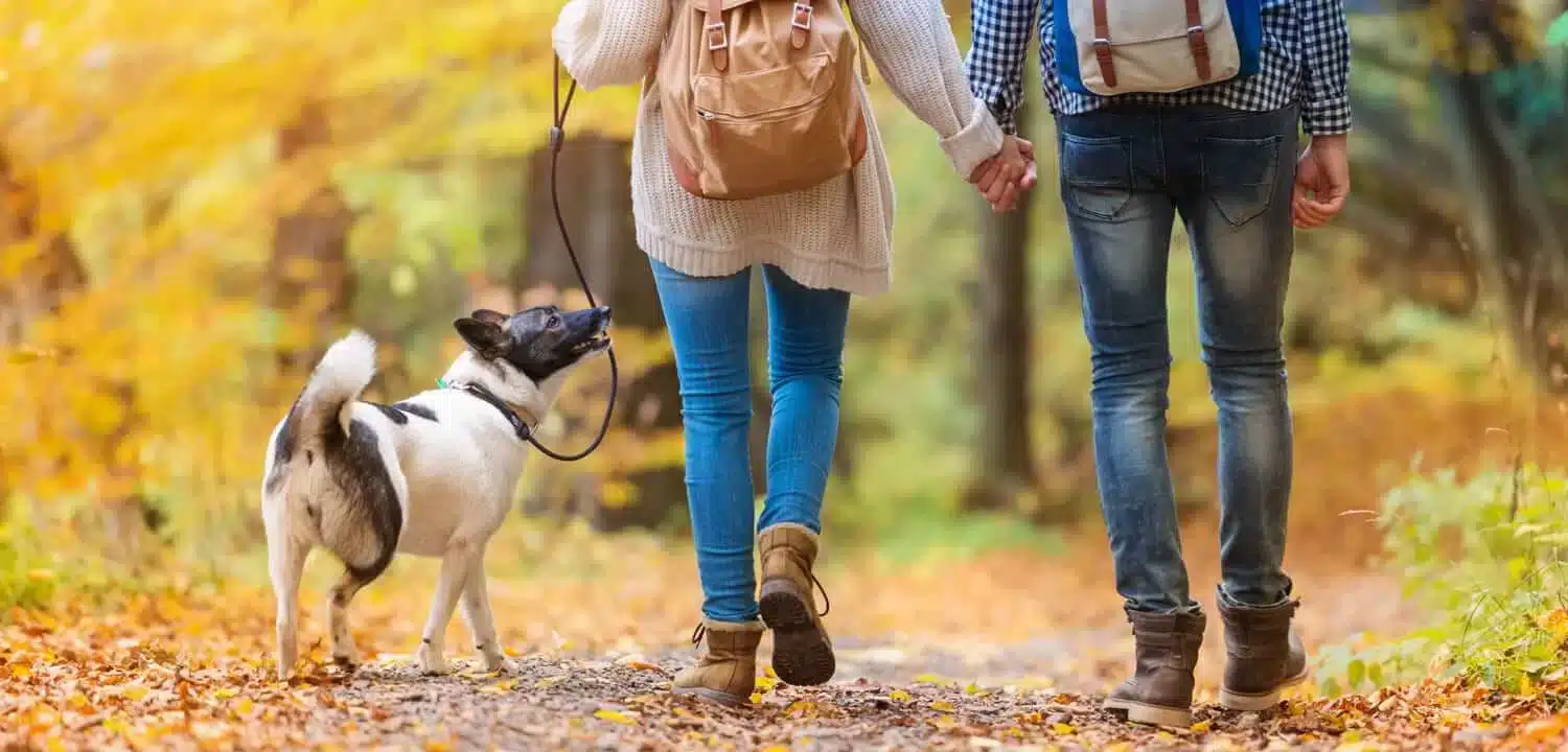 walk without pain walk without pain
