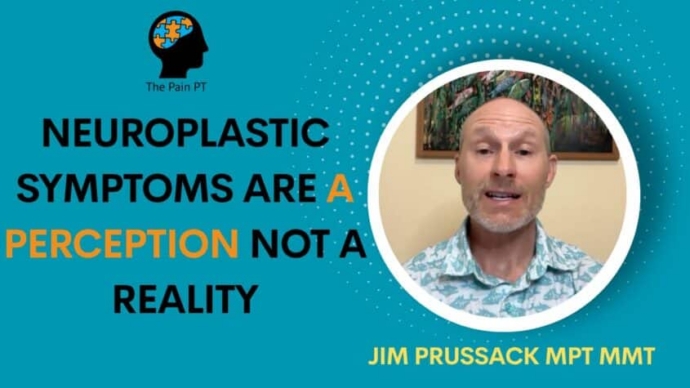 Neuroplastic Symptoms are a Perception, not a Reality
