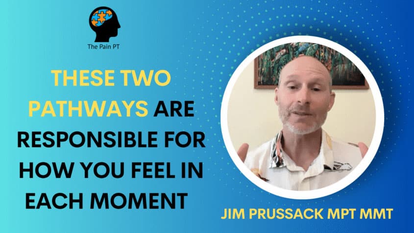 These two pathways are responsible for how you feel in each moment